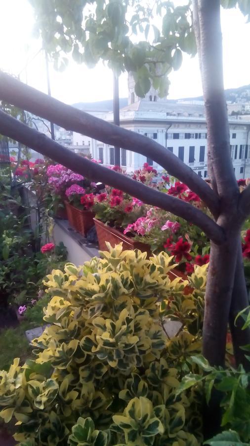 Bed And Breakfast " La Terrazza" Genova Eksteriør bilde